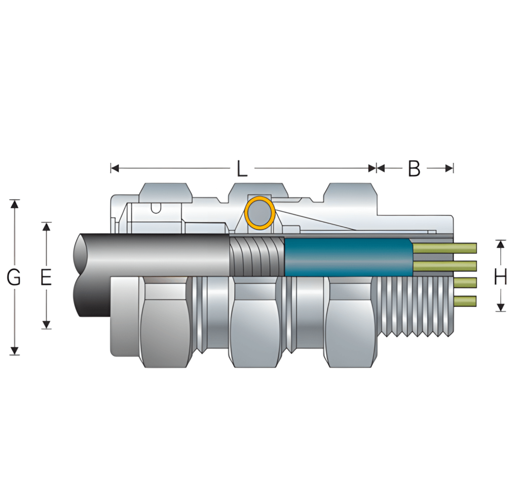 Diagrama técnico de un conector TMC.